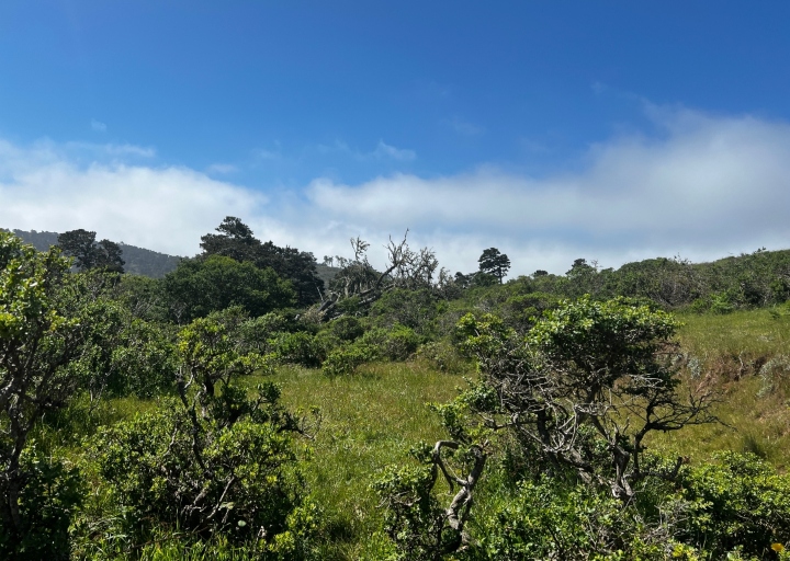 Herp Habitat